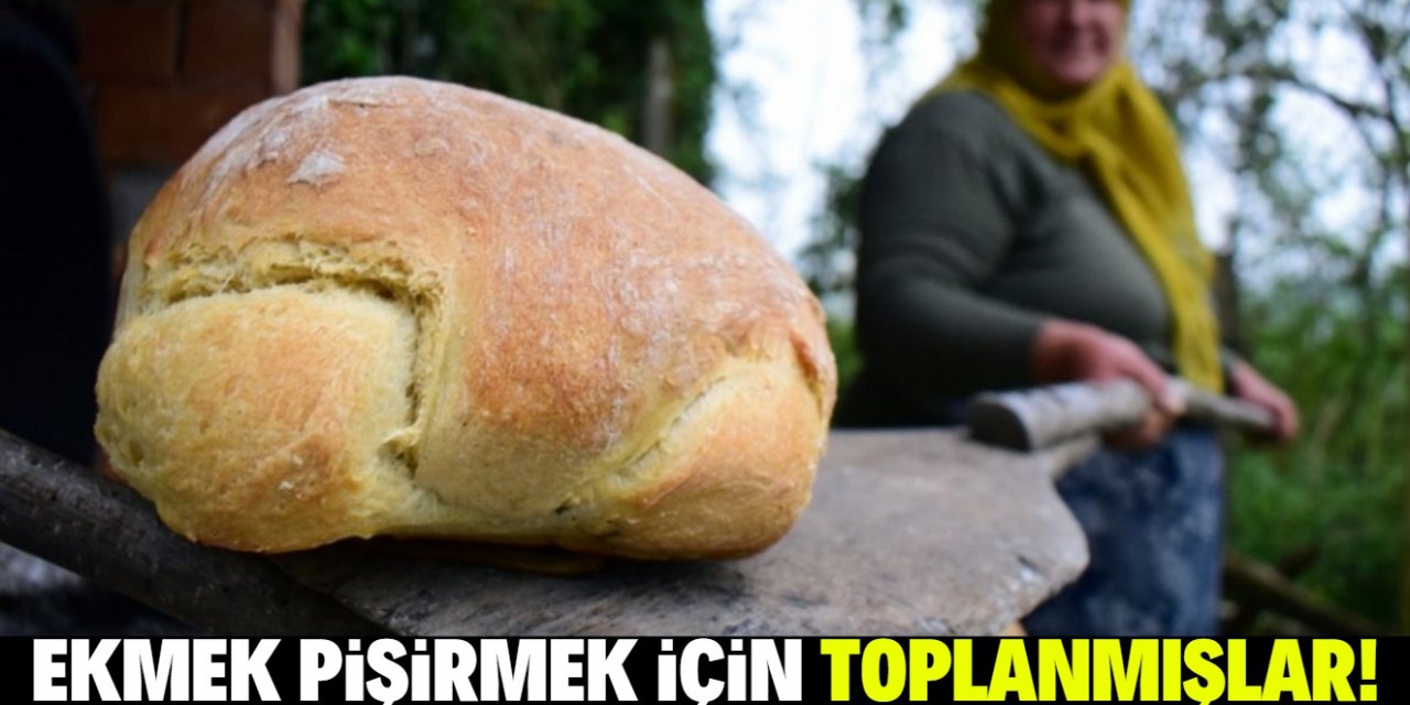 Ekmek pişirmek için toplandılar! Sonuç: 72 pozitif