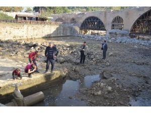 Binlerce Balık İtfaiye Suyuyla Kurtarıldı