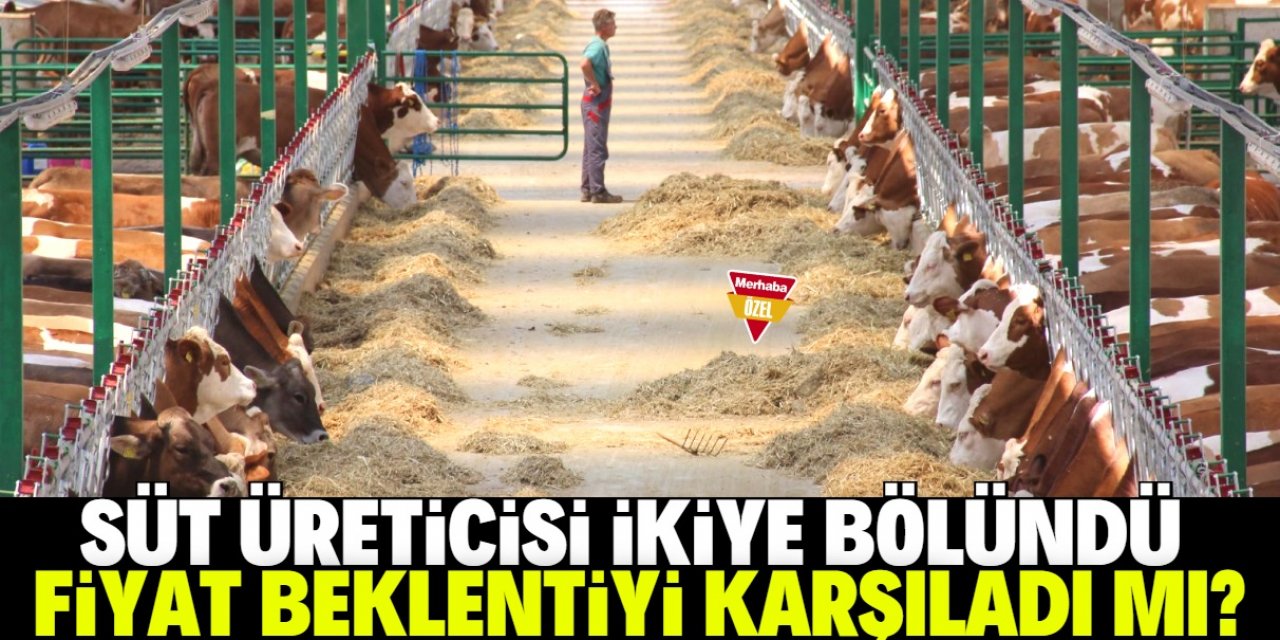 Yeni çiğ süt fiyatı üreticiyi ikiye böldü 