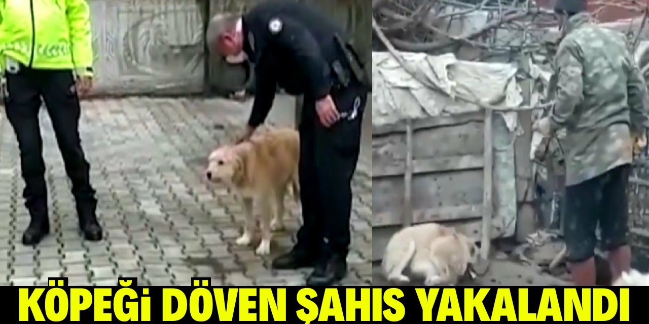 Konya'da köpeği döven şahıs polis tarafından yakalandı