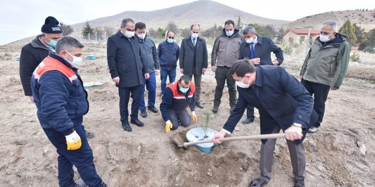 Konya’da ilk kez sulamasız fidan dikim çalışması yapıldı