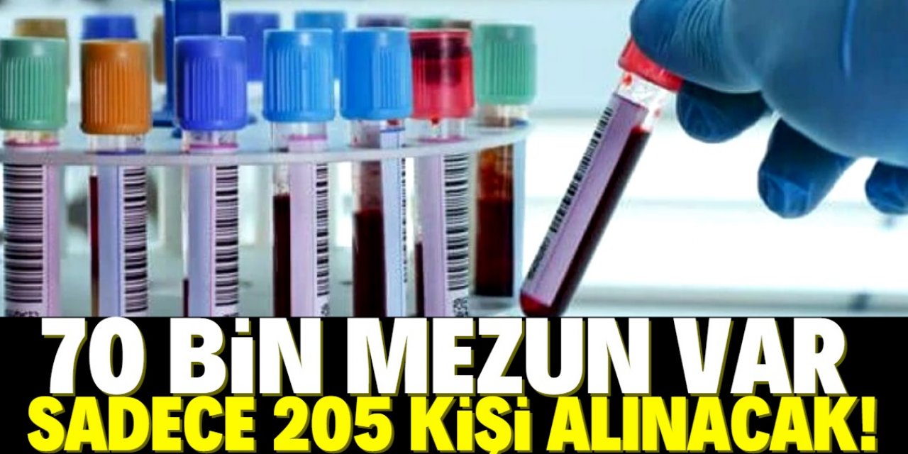 Bu alandan mezun olan 70 bin kişi var! 205 kişi atanacak