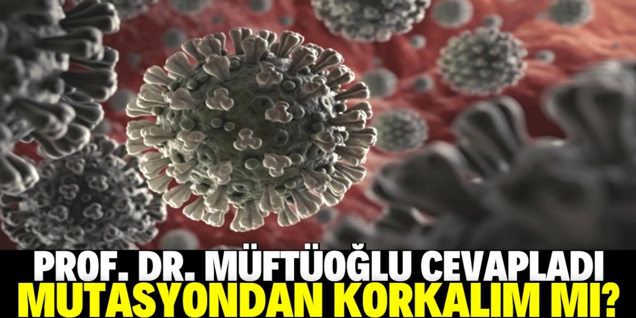 Prof. Müftüoğlu cevapladı! Koronavirüs mutasyonundan korkulmalı mı?