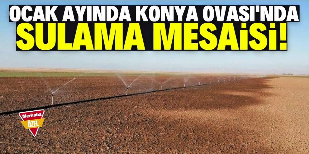 Konya Ovası'ndaki kuraklık korkutucu boyuta ulaştı