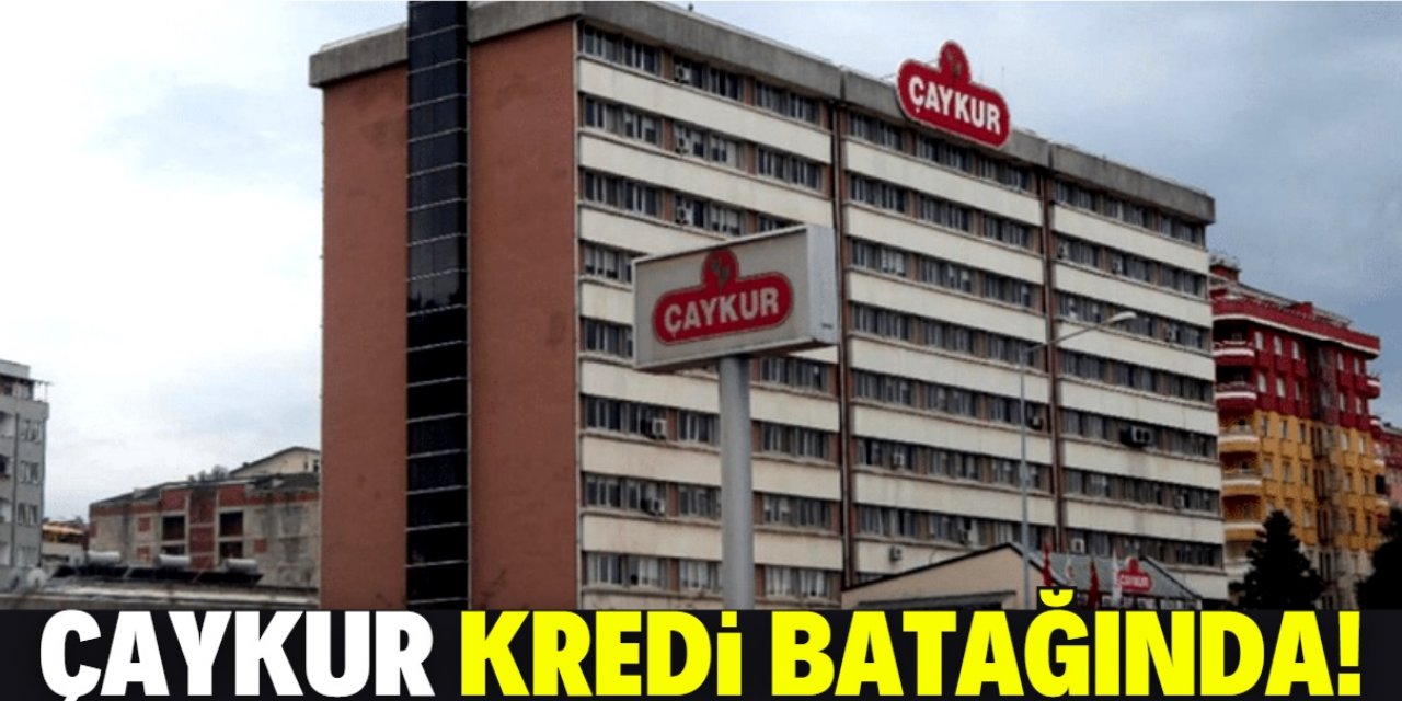 Sayıştay açıkladı: ÇAYKUR kredi üstüne kredi çekmiş