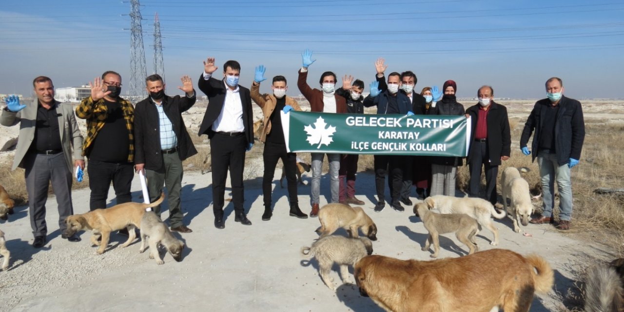 Sokak hayvanları için seferber oldular