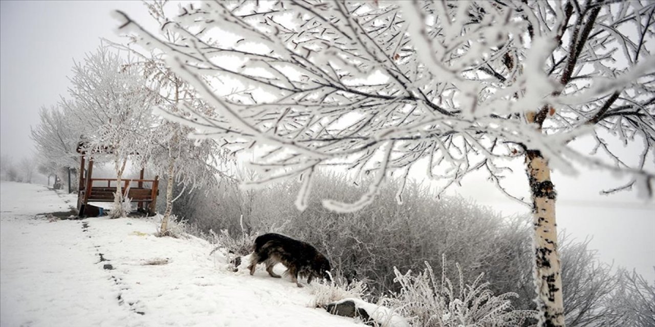 Doğu Anadolu'da gece en düşük sıcaklık Kars ve Ağrı'da ölçüldü