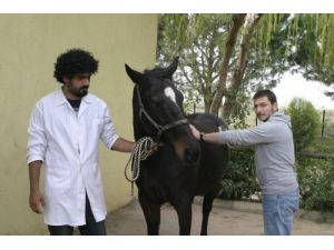 Veterinerlik Öğrencileri Atlarla Sıkıntı Atıyor