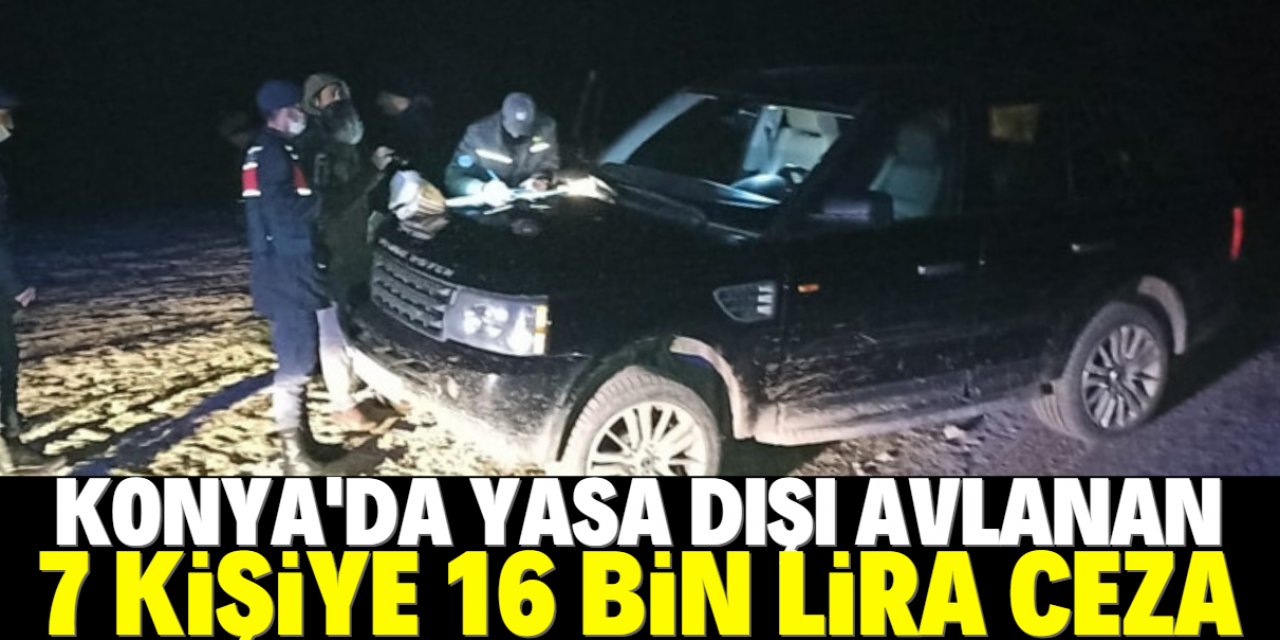 Konya'da projektörle yasa dışı ava 16 bin lira ceza