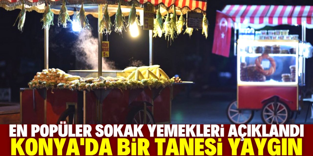 Türkiye'nin en meşhur 10 sokak yemeği açıklandı