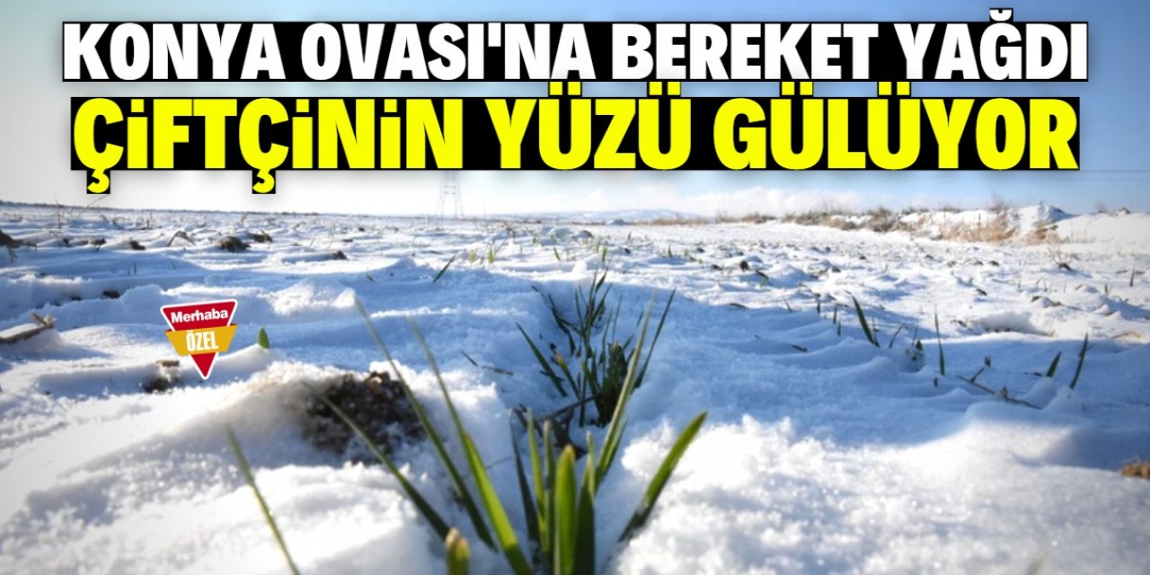 Yağış çiftçinin yüzünü güldürdü