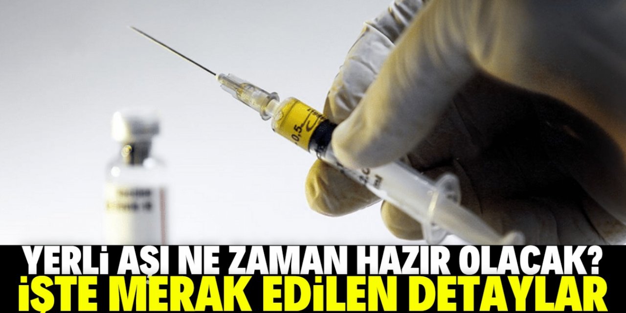 Türkiye'nin yerli aşısı ne zaman hazır olacak?