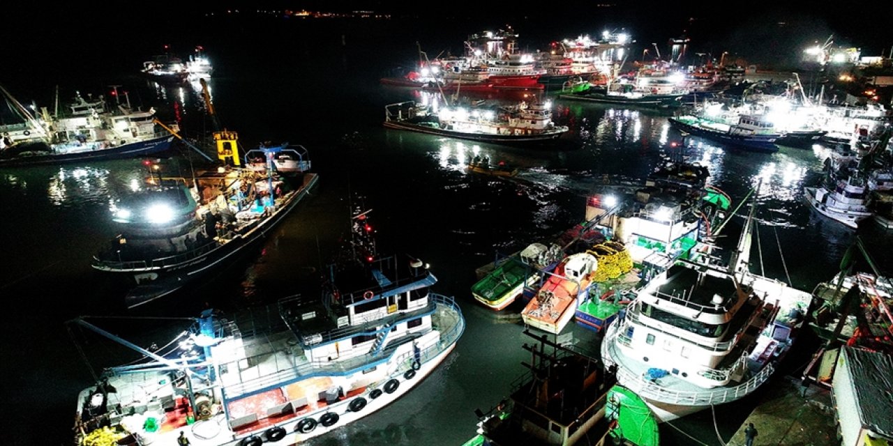 Yasaklı alan dışında kalan İğneada'da 250 tekne hamsi peşinde