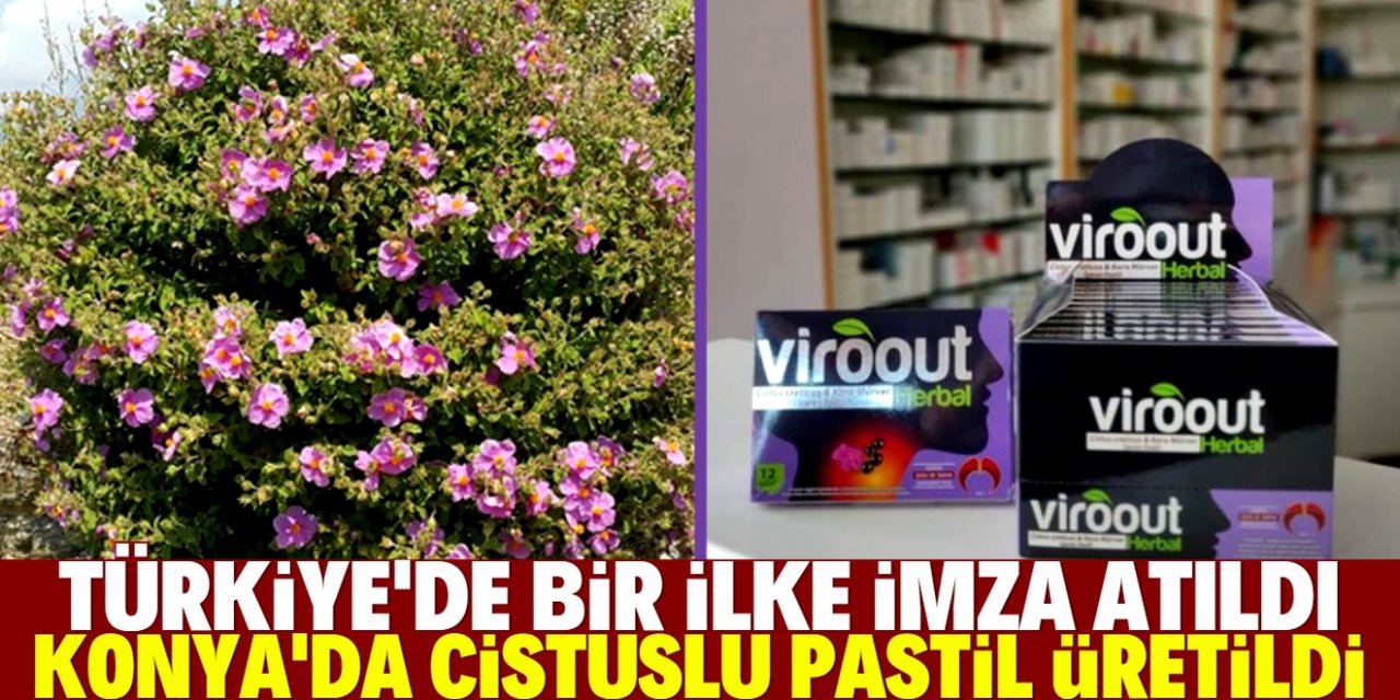 Konya Gıda ve Tarım Üniversitesi’nde yerli 'Cistuslu Pastil' üretildi