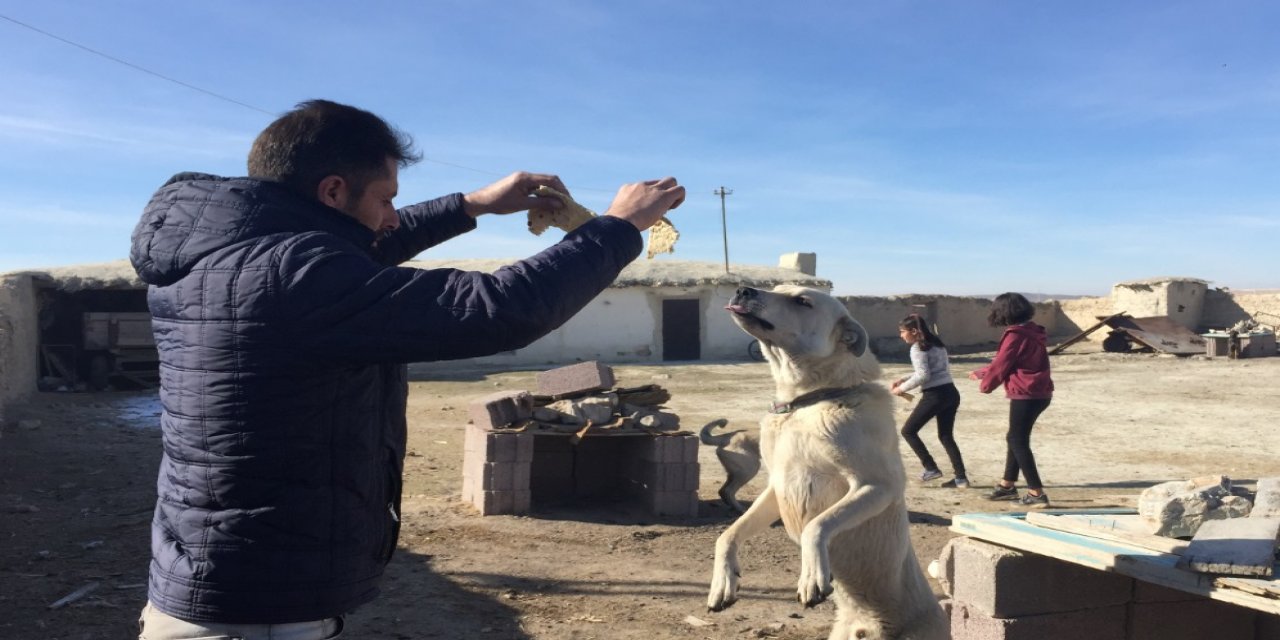 Konya Büyükşehir Belediyesi katkı payı ödeyerek sokak köpeklerine evde bakım hizmeti sağlıyor