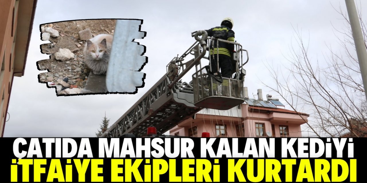 Konya'da çatıda mahsur kalan kedi kurtarıldı