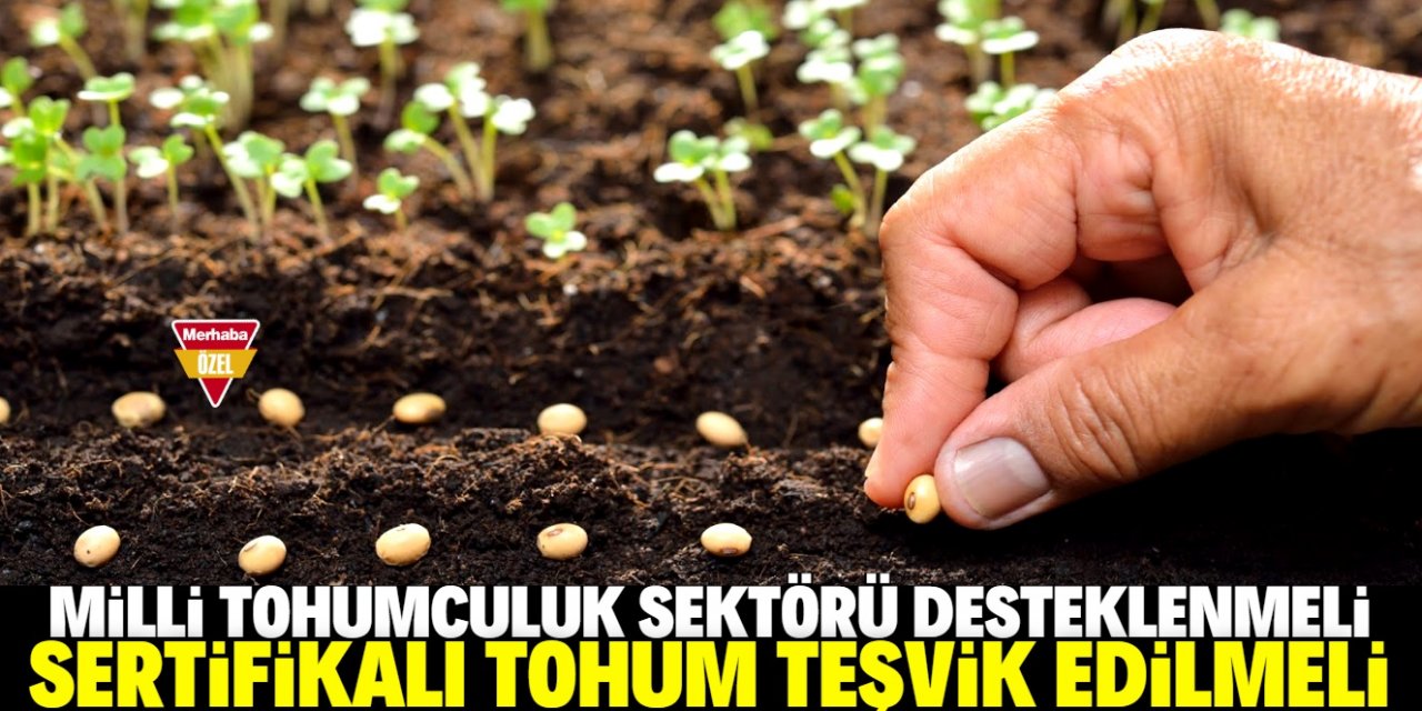 Tohumculuk stratejik bir sektör haline geldi