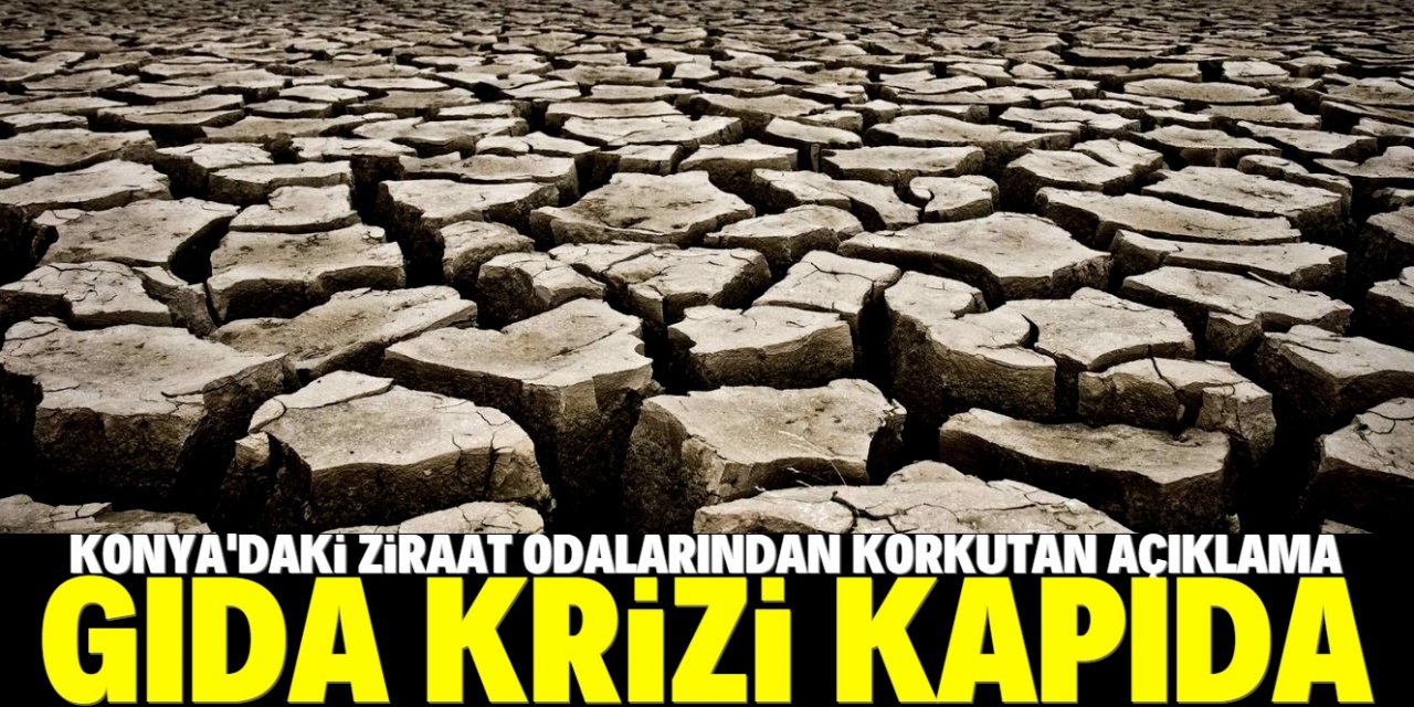 Kuraklık devam ederse gıda krizi yaşanır!