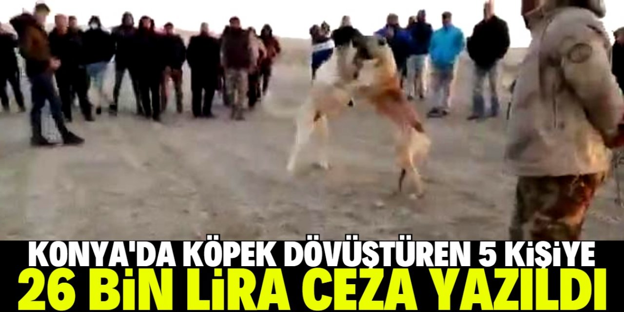 Konya'da köpek dövüştürüp görüntülerini paylaşan 5 kişiye 26 bin lira ceza