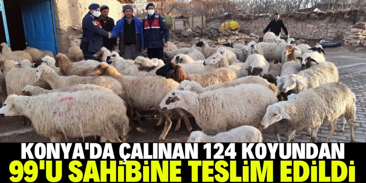 Konya'da çalınan 124 küçükbaş hayvandan 99'u sahibine teslim edildi