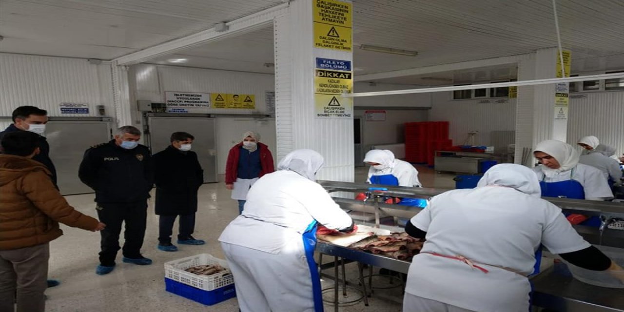 Kaymakam Aydın Erdoğan, balık ürünleri işleme tesisini ziyaret etti