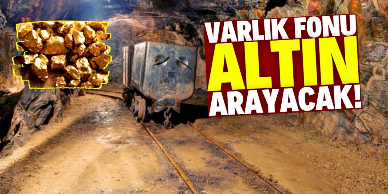 Türkiye Varlık Fonu yabancı ortaklarla altın arayacak!