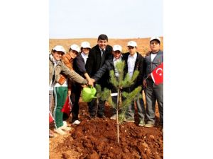 Şehitkamil’de 10 Bin Fidan Toprakla Buluştu