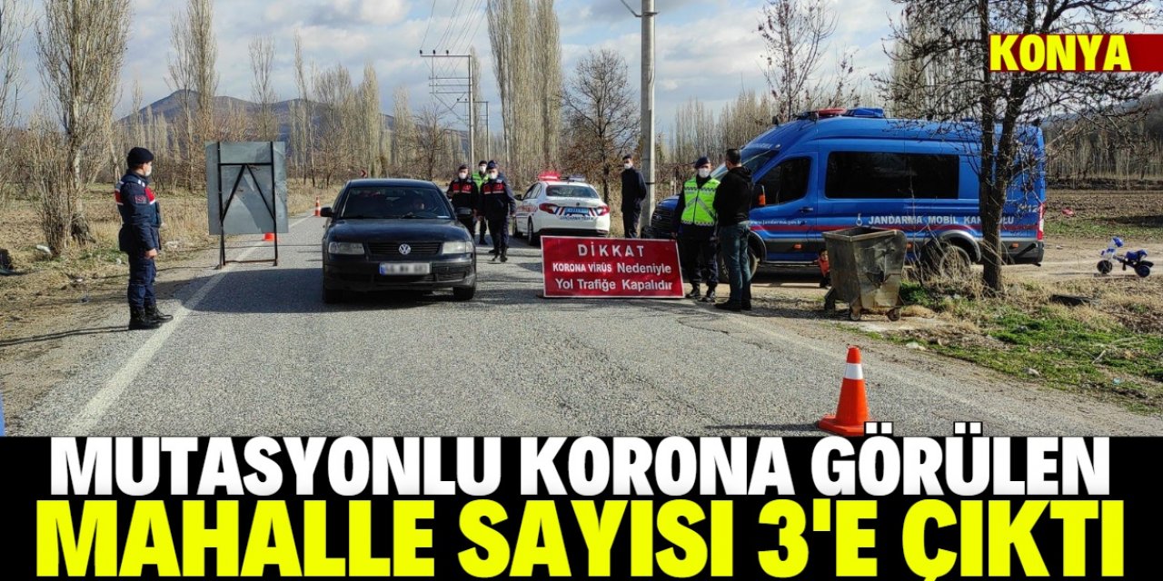 Konya'da mutasyonlu virüs görülen mahalle sayısı 3'e çıktı