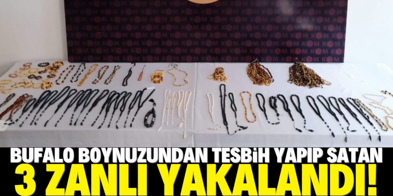 Konya'da nesli tehlikede olan bitki ve hayvan uzuvlarından yapılmış takılar yakalandı