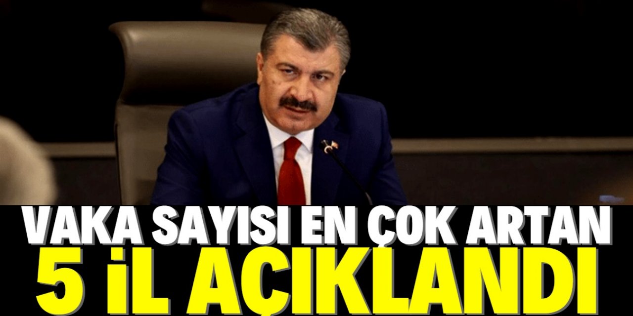 Bakan Koca, vaka sayısı en çok artan illeri açıkladı