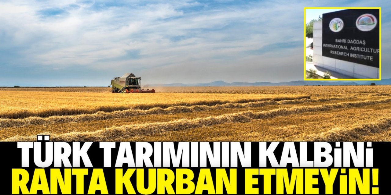 Konya'nın ve Türkiye'nin en stratejik tarım arazisi ranta kurban gitmesin