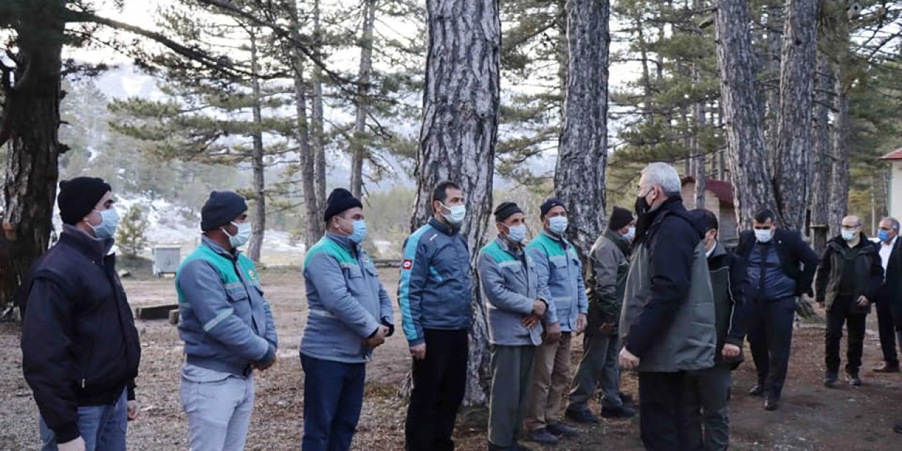 Orman Genel Müdürü Bekir Karacabey, Beyşehir'de incelemelerde bulundu
