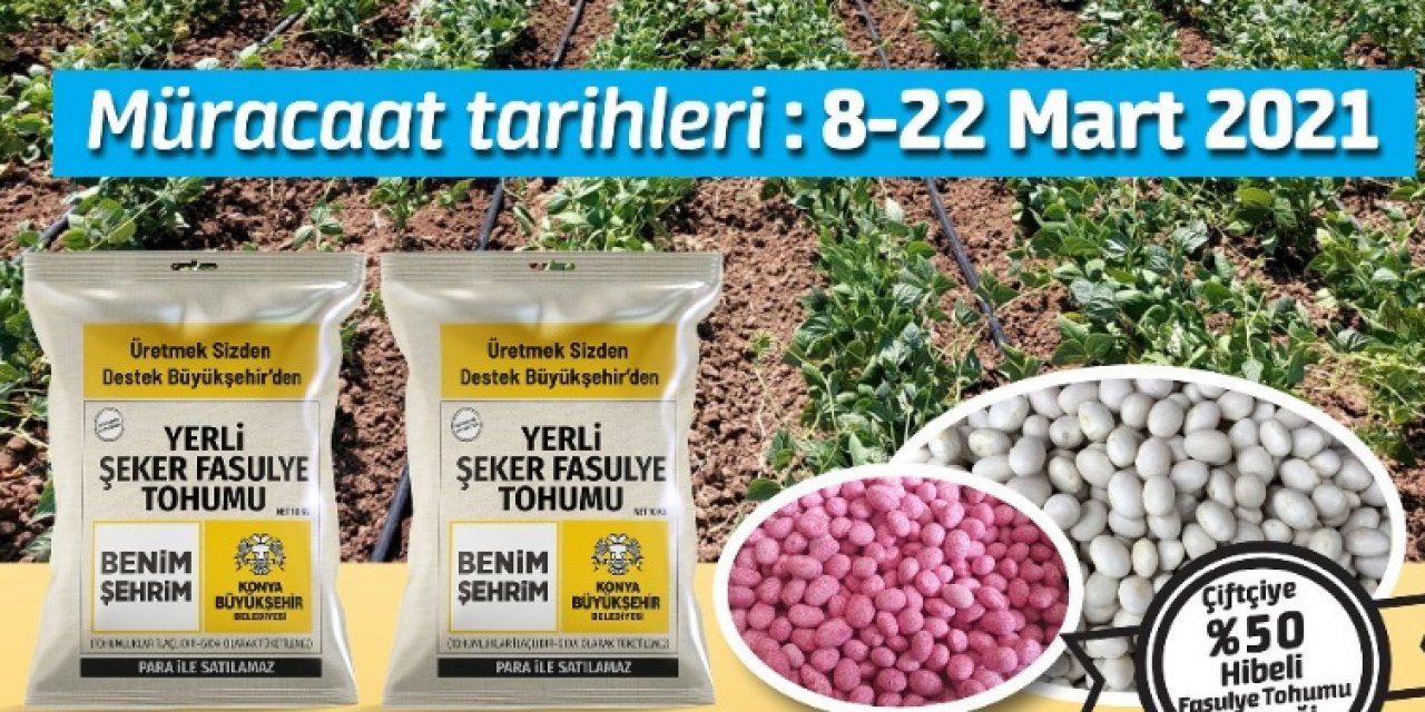 Üreticiye yerli şeker fasülye tohumu desteği