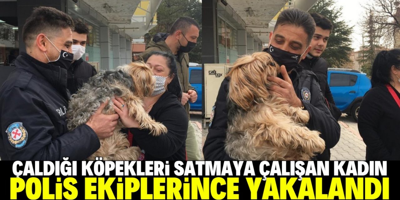 Çaldığı iki cins köpeği sosyal medyadan satmaya çalışan kadın alıcı gibi davranan polislerce yakalandı
