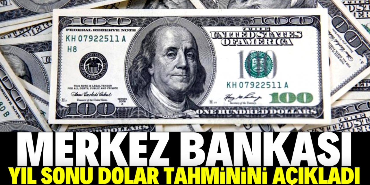 Merkez Bankası yıl sonu enflasyon ve dolar tahminini açıkladı