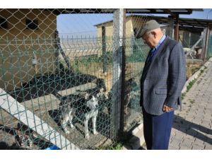 Başkan Uğurlu, Hayvan Barınağını Gezdi
