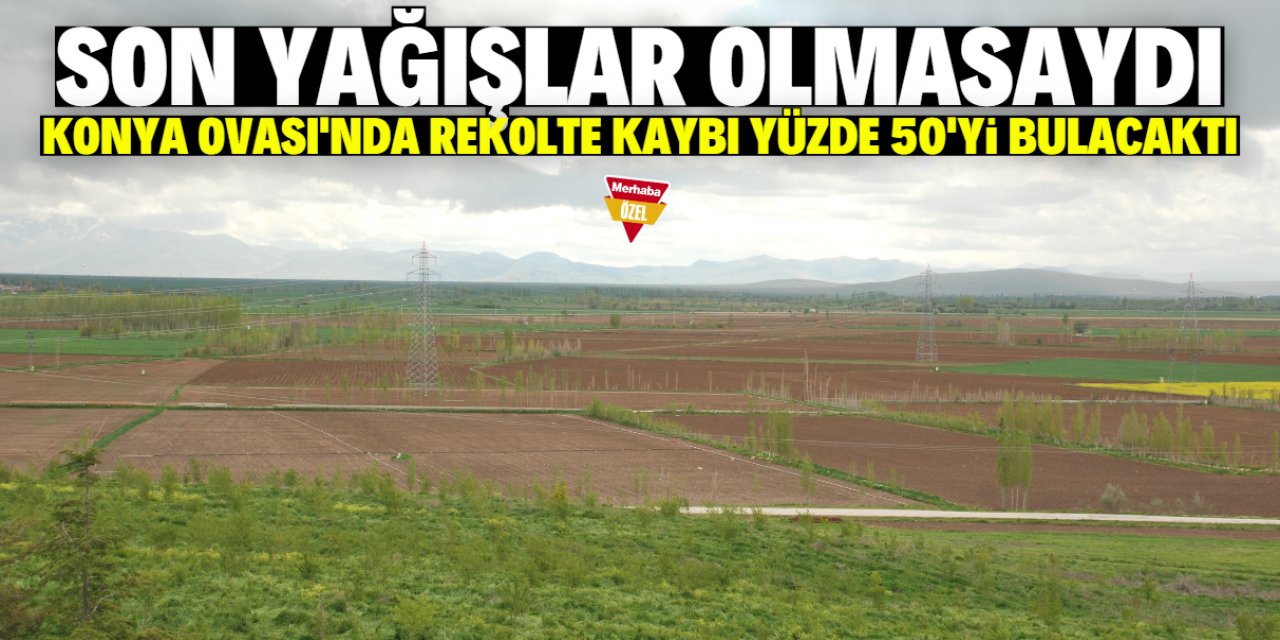 Son yağışlar rekolte kaybını önledi