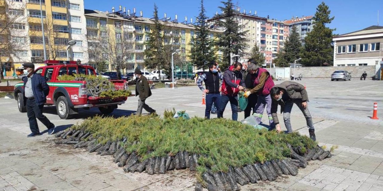 Seydişehir Orman İşletme Şefliği vatandaşlara fidan dağıttı