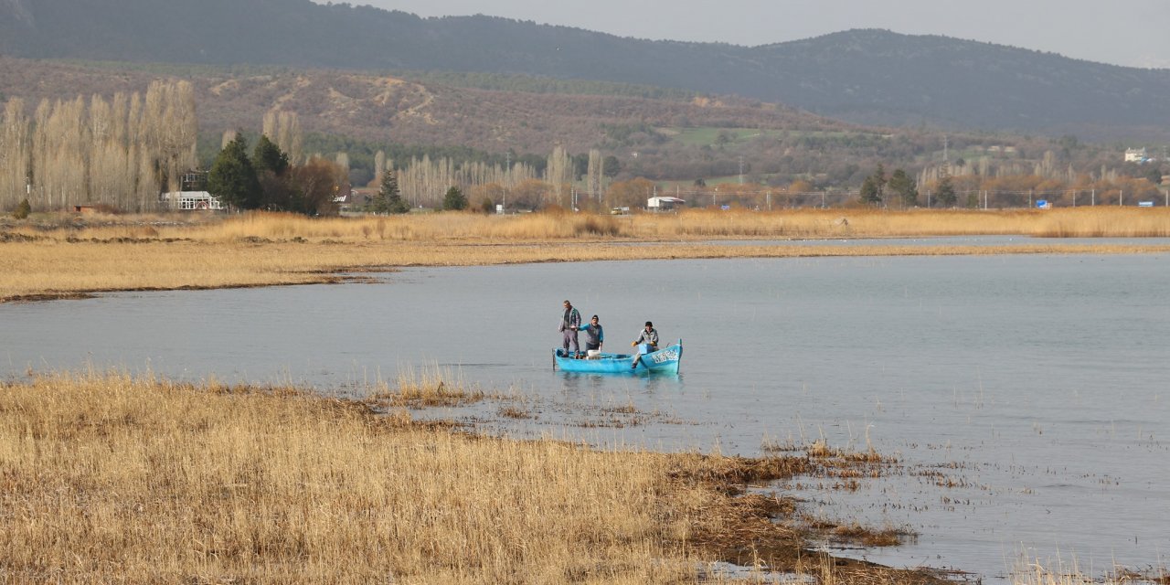 Beyşehir'de göl kıyılarında sinekle mücadele devam ediyor