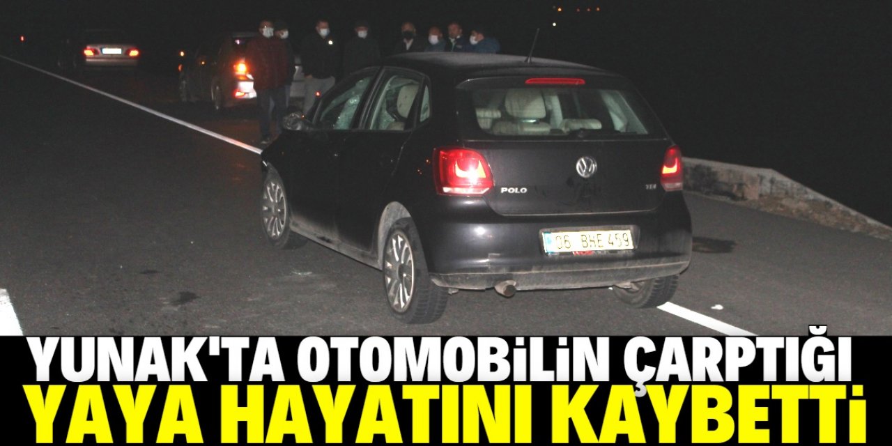 Konya'nın Yunak ilçesinde otomobilin çarptığı yaya yaşamını yitirdi