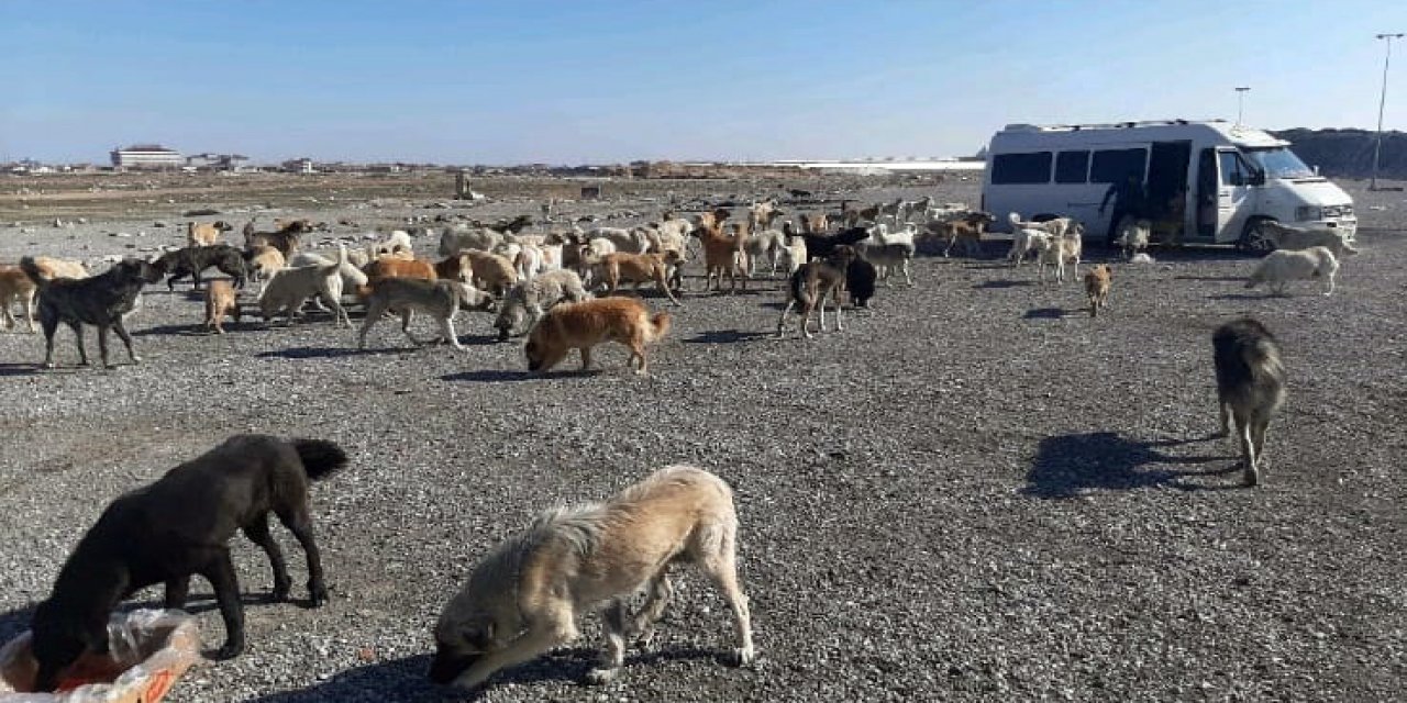 Hayvanları beslemeye gitti, kafası bidona sıkışan köpeği kurtardı