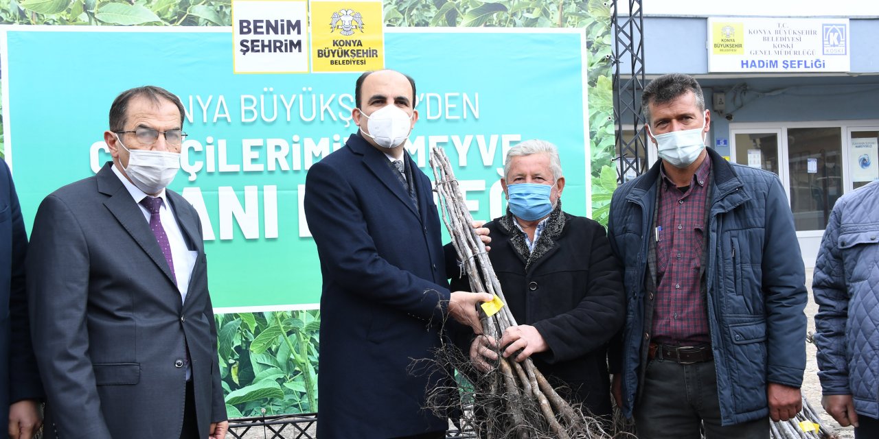 Konya Büyükşehir Belediye Başkanı Altay, Hadimli çiftçilere sertifikalı ceviz fidanı dağıttı