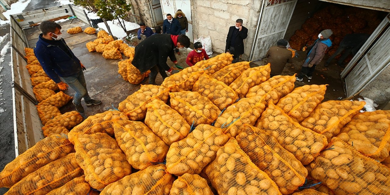 Depodaki patatesini TMO'ya satan Nevşehirli çiftçiler mutlu