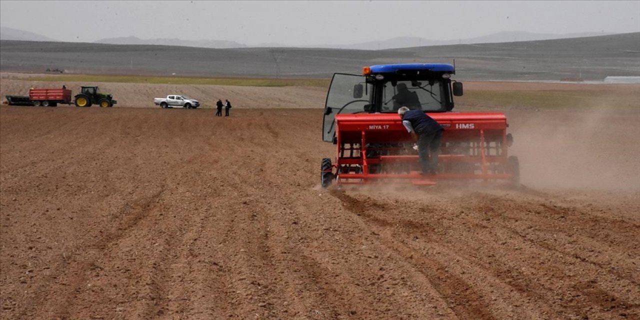 Bozkırın toprakları nohut tohumlarıyla buluştu