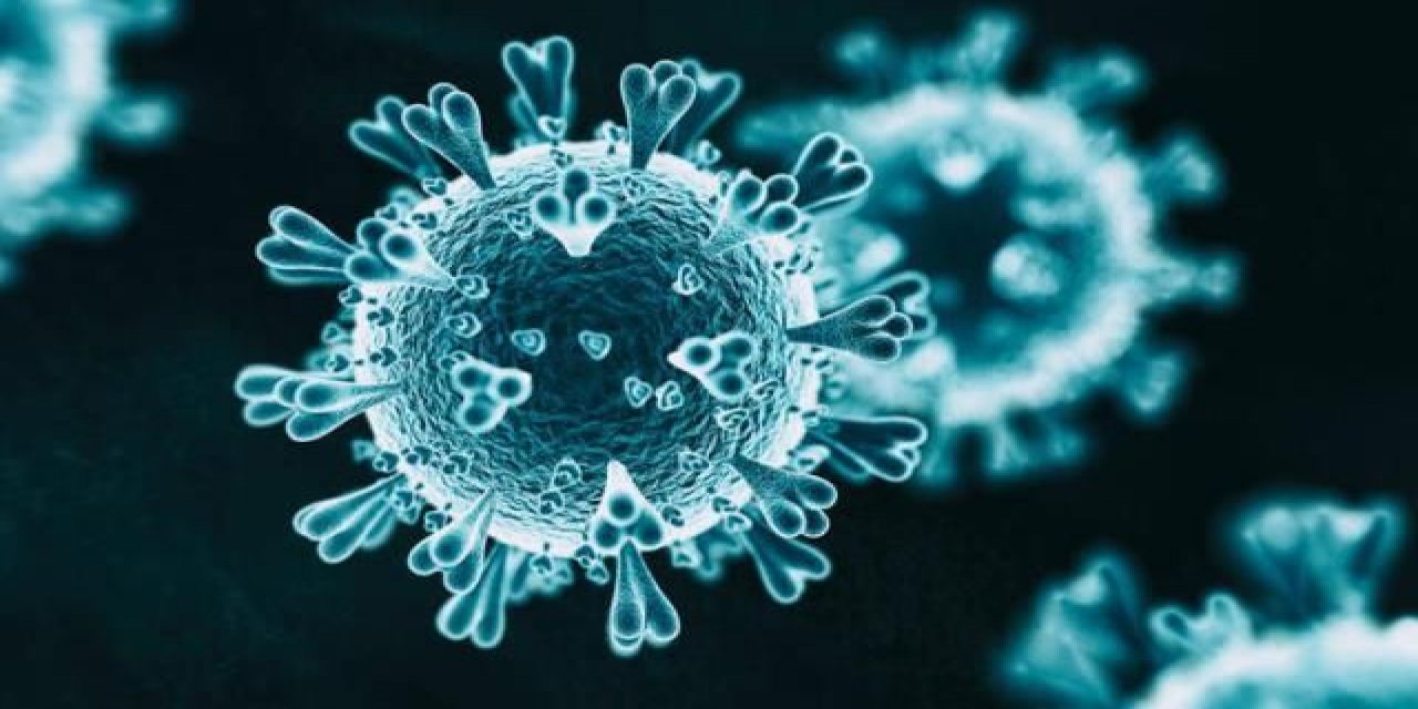 Bilim Kurulu Üyesi: Türkiye’deki virüslerin yüzde 85’i mutasyonlu