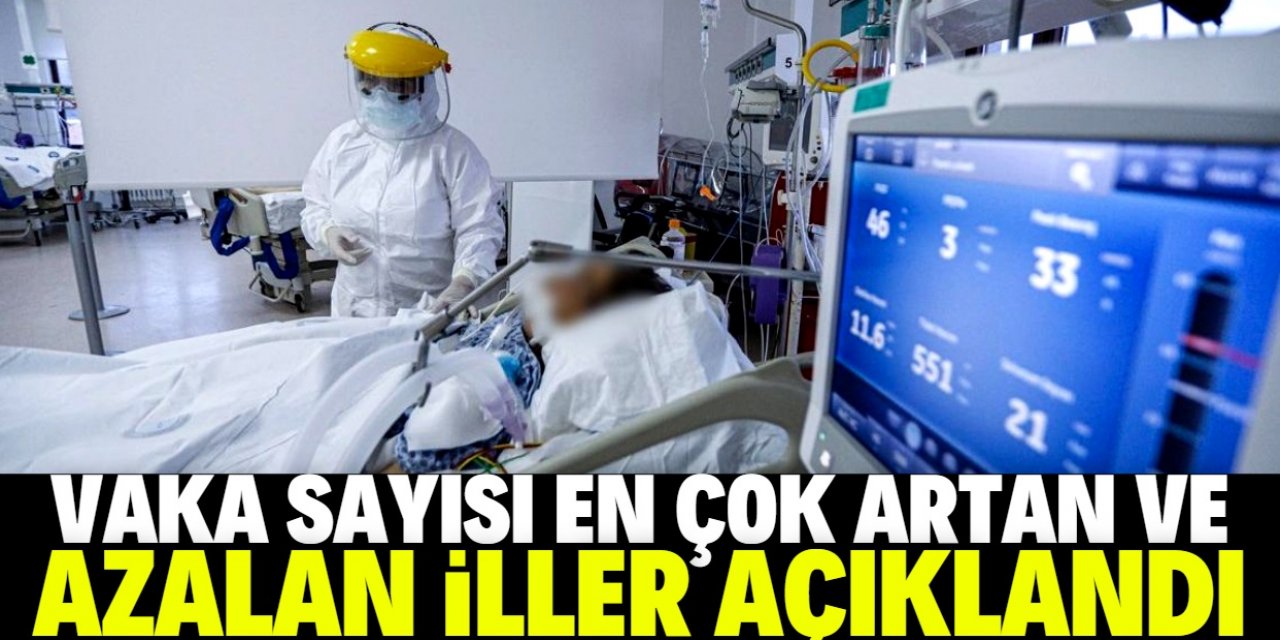 Vaka sayısı en çok artan iller açıklandı