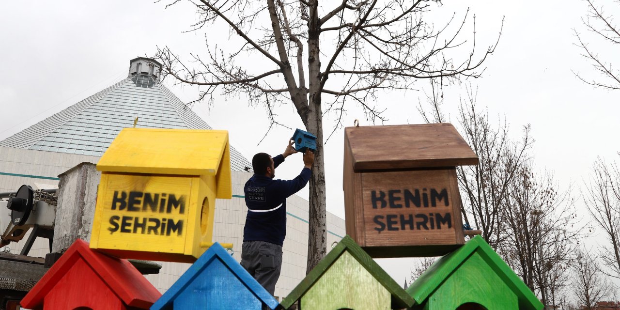 Konya'da kuşlar için 1250 yeni kuş evi