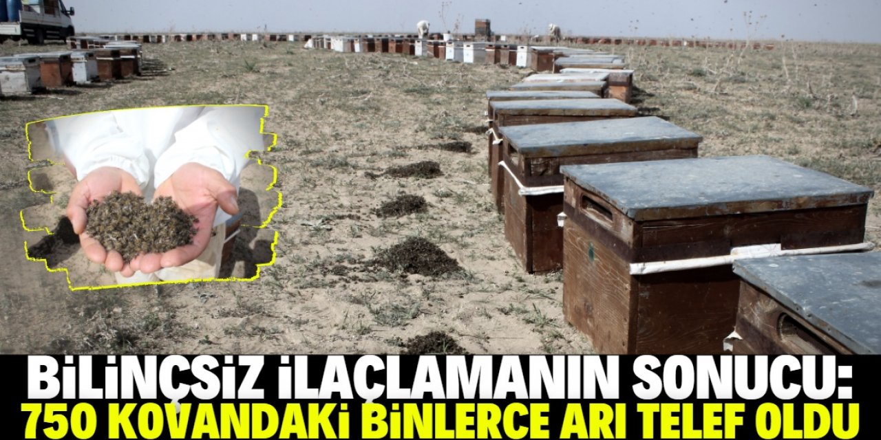 Konya'da 750 kovandaki binlerce arı telef oldu