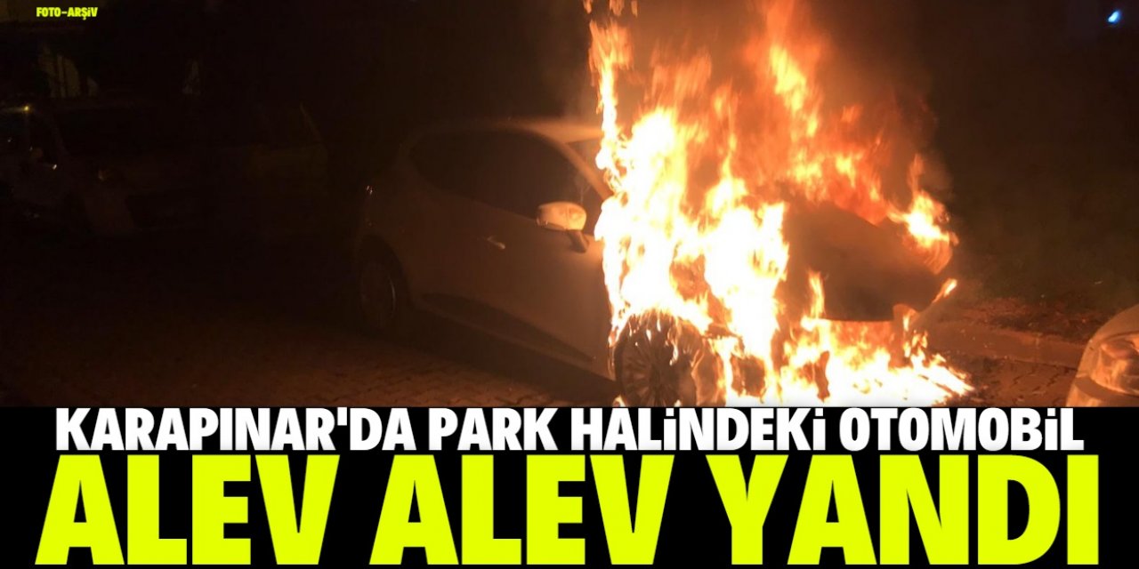 Karapınar'da park halindeki otomobilde yangın çıktı