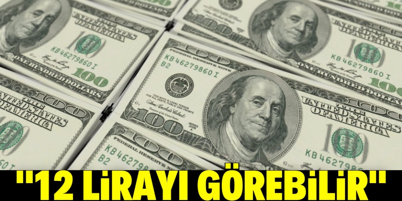 Gündoğan’dan korkutan dolar yorumu: 12 lirayı görebilir
